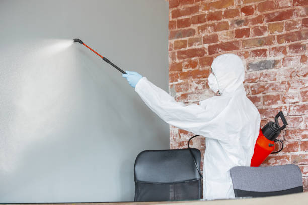 Trusted Colleyville, TX Mold Removal Experts
