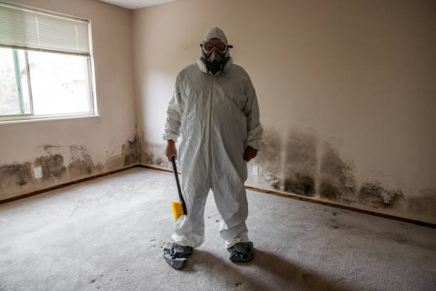Best Mold Removal for HVAC Installations  in Colleyville, TX
